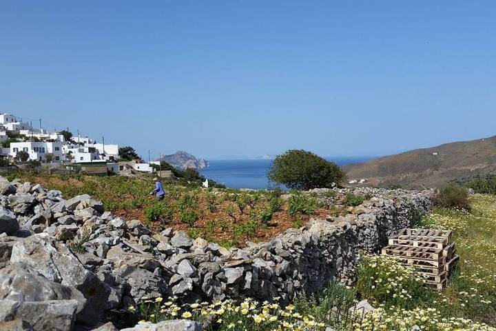 Itinerary Image 2