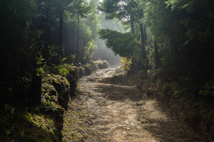 Itinerary Image 2