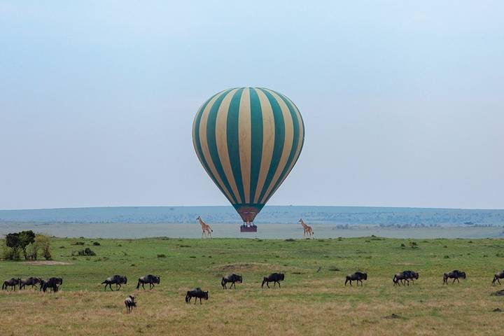 Premium Kenya