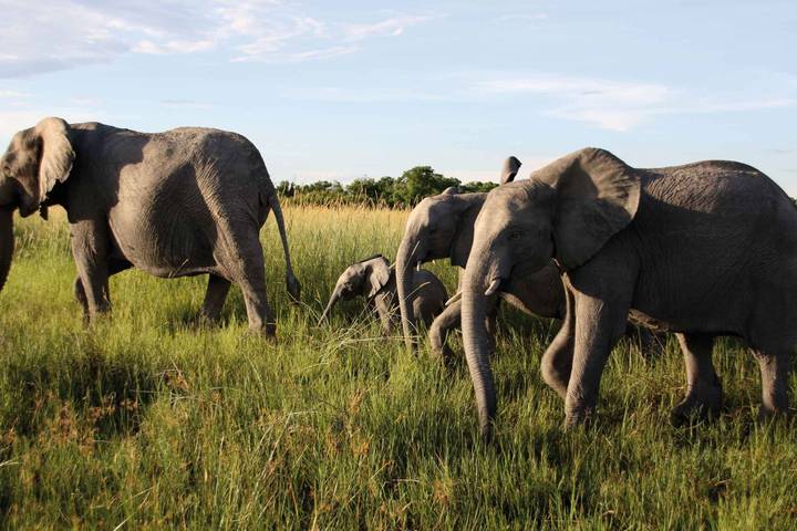 Premium Southern Africa in Depth (6 destinations)