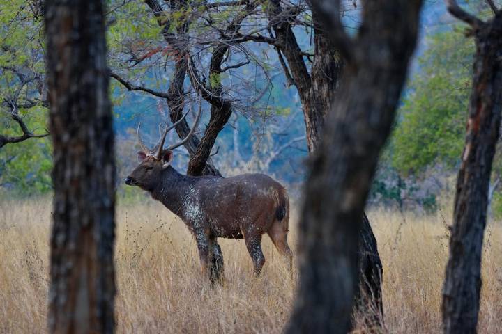 Itinerary Image 2