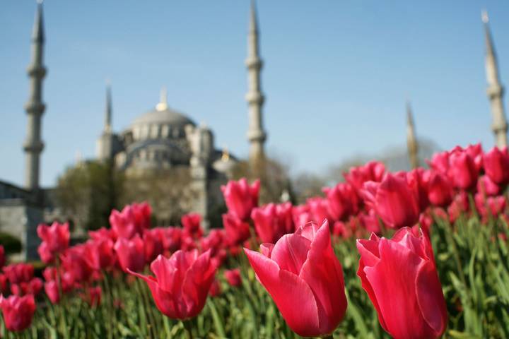 Itinerary Image 1