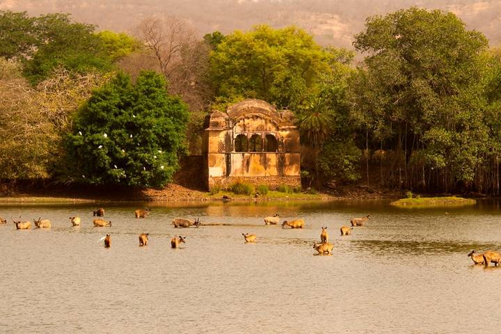 Itinerary Image 1
