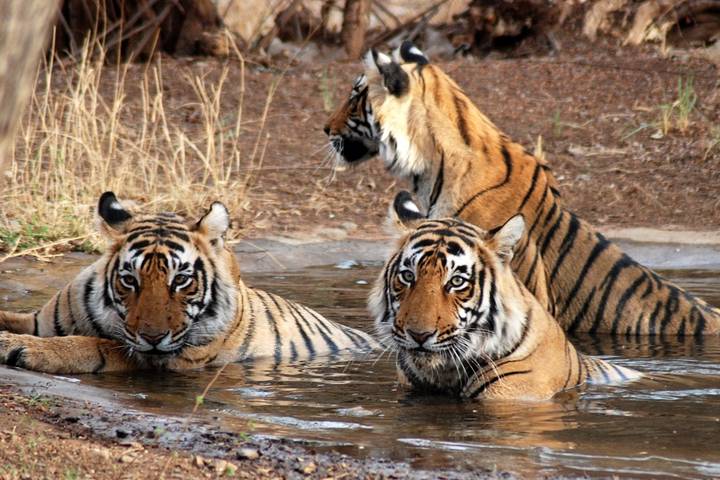 Itinerary Image 1