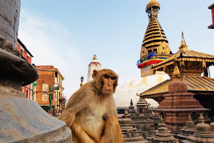 Itinerary Image 1
