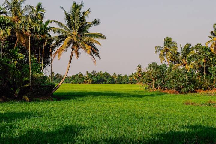 Itinerary Image 3