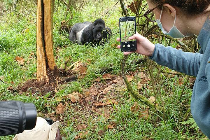 4 Day Uganda Gorilla & Chimpanzee Trekking Trip