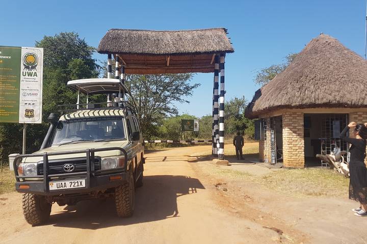 11-Day Gorillas, Chimps, and Lake Mburo Wildlife Safari