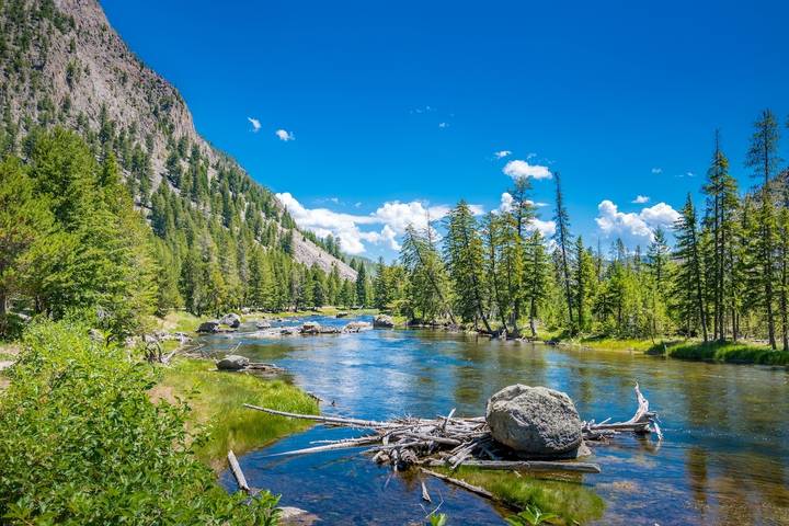 Grand Canyon Yellowstone National Park Hiking Tours Group