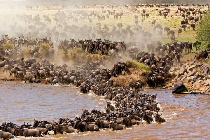 6 Days – Serengeti Migration Joining Group Safari