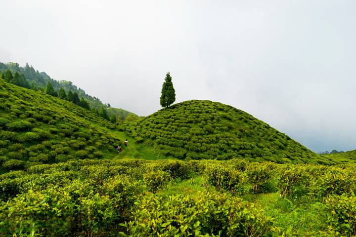 Itinerary Image 2