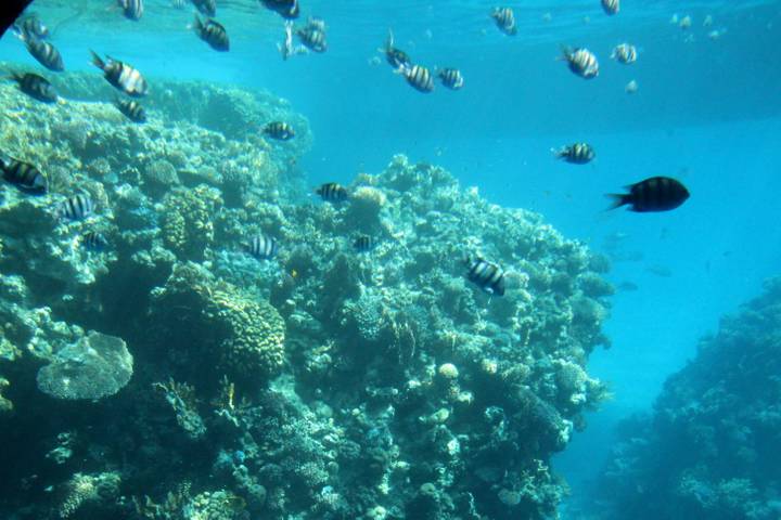 Itinerary Image 2