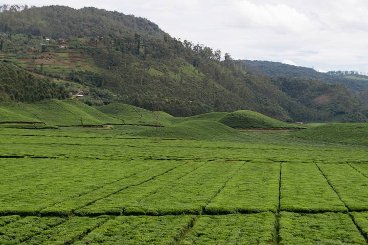 Itinerary Image 3