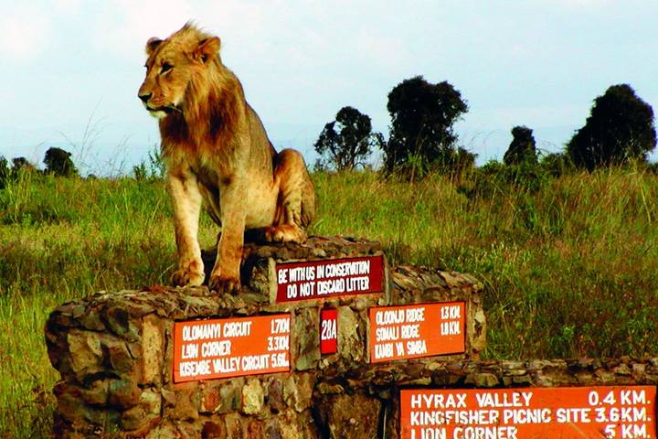 Itinerary Image 2