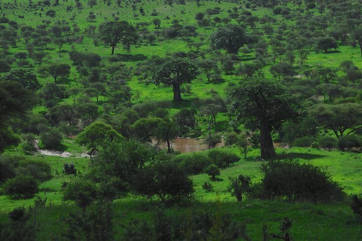 Itinerary Image 1