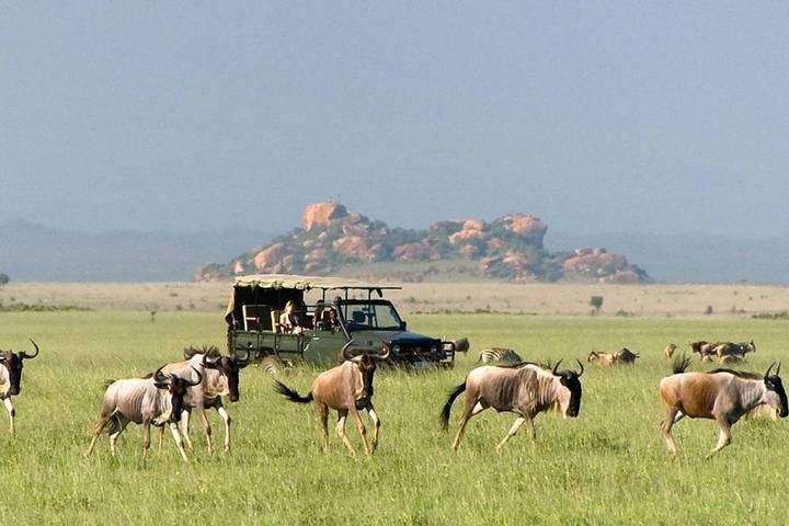 Itinerary Image 1