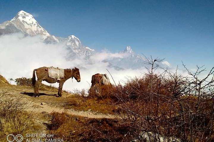 Itinerary Image 3