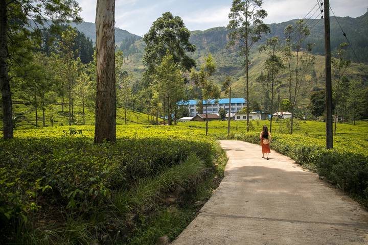 Itinerary Image 2