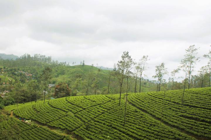 Itinerary Image 2