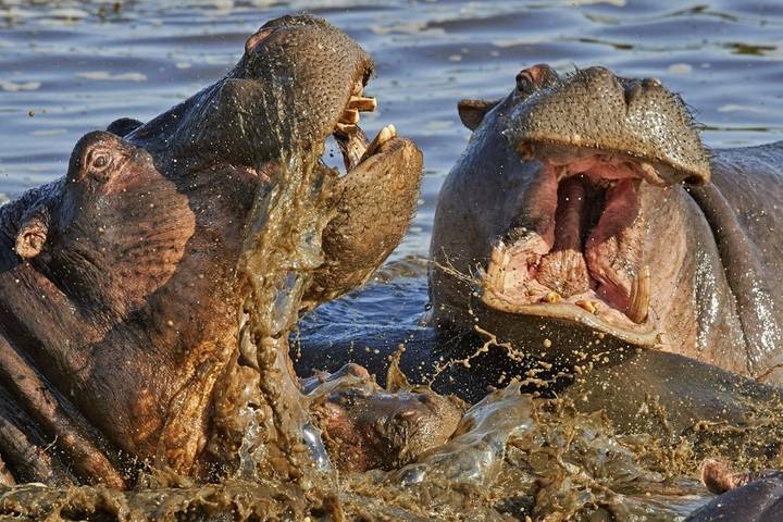 Itinerary Image 3