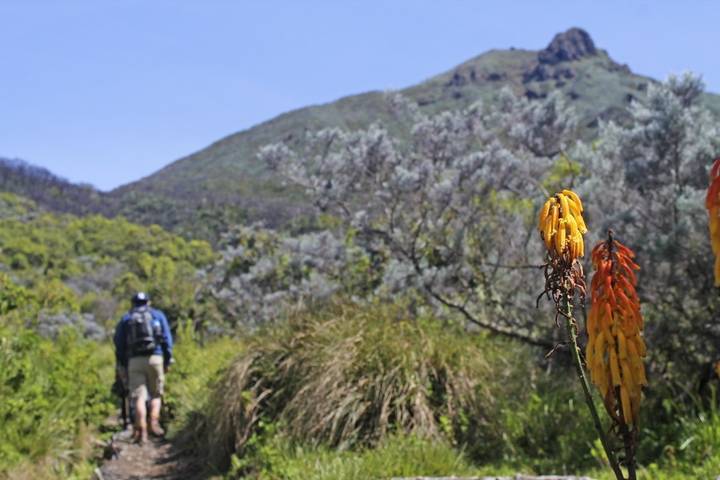 Itinerary Image 2
