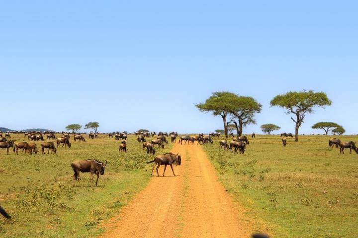 Itinerary Image 2