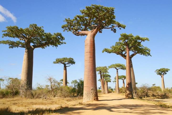 Itinerary Image 2