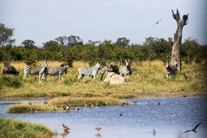 Itinerary Image 2