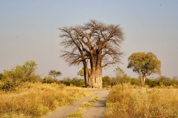 Itinerary Image 3