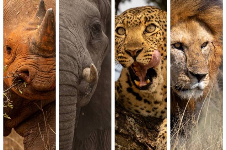 Cheetah Classic Adventure Safari in Tanzania **Sustainable Approach to Travel