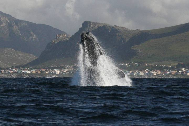 Itinerary Image 1