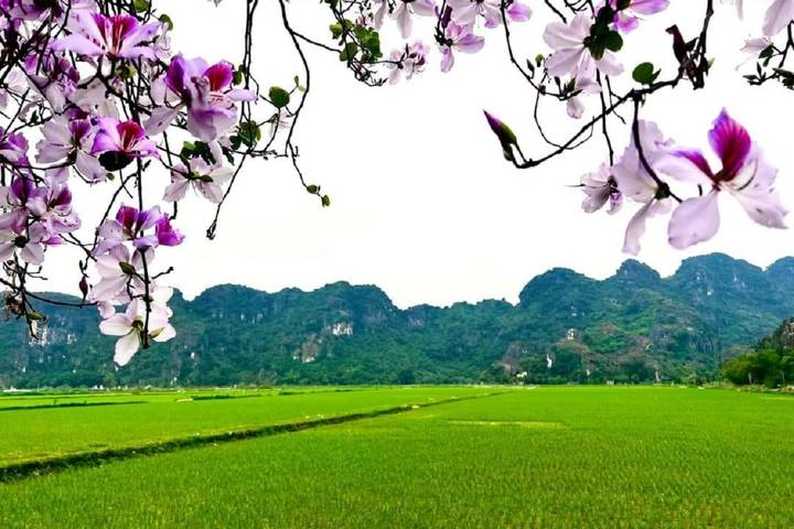 Itinerary Image 3
