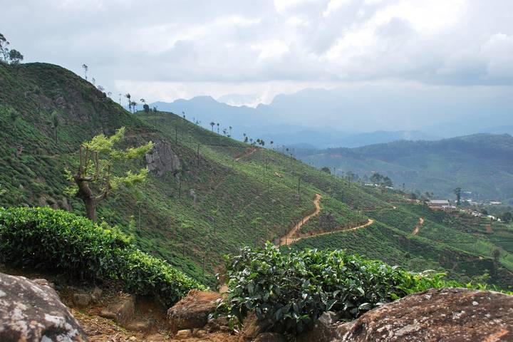 Itinerary Image 3