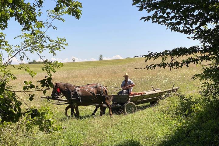 Itinerary Image 3