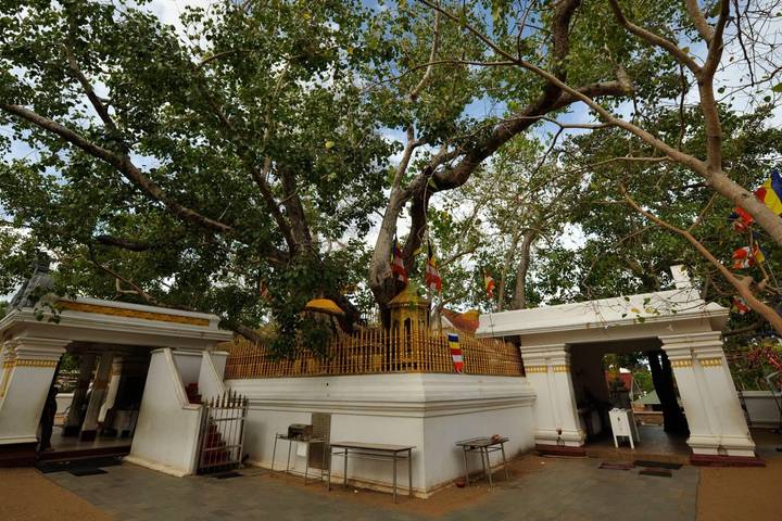 Itinerary Image 3