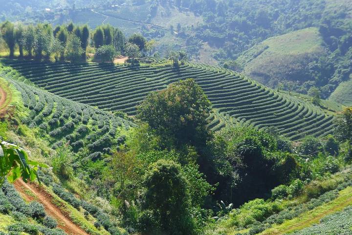 Itinerary Image 2