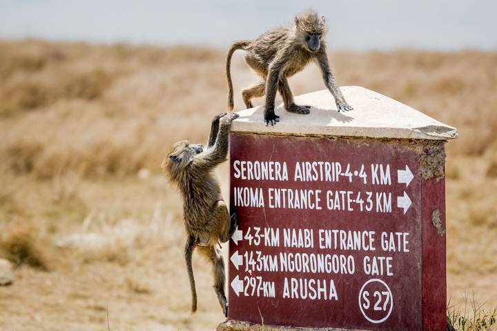 Itinerary Image 2