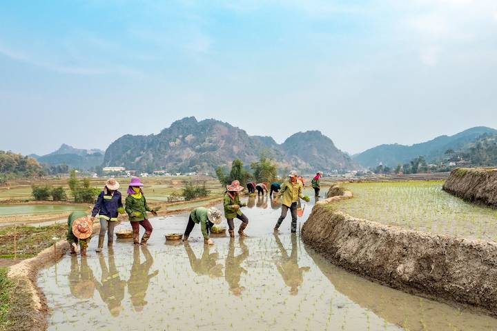 Itinerary Image 2
