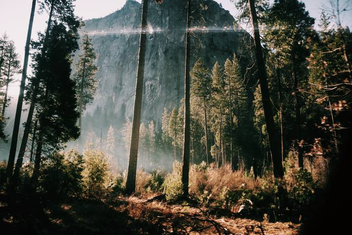 Itinerary Image 2