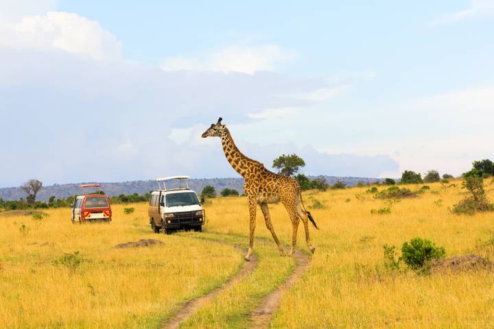 Itinerary Image 1