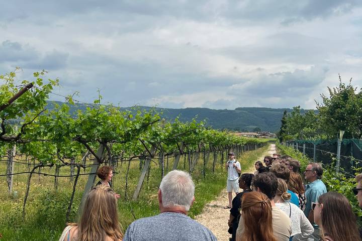 Itinerary Image 2