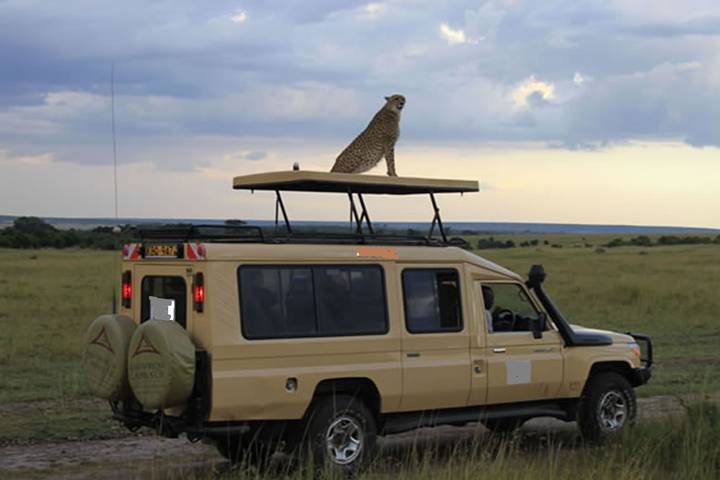 9Days Kenya Luxury Safari