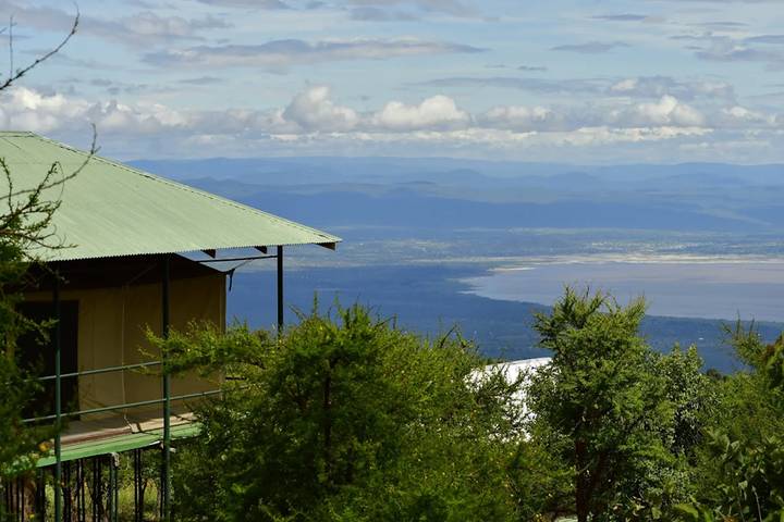 Discover Our World-Class 4-Day Ndutu Migration Safari