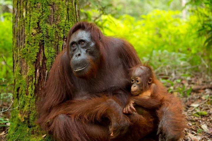 Itinerary Image 3