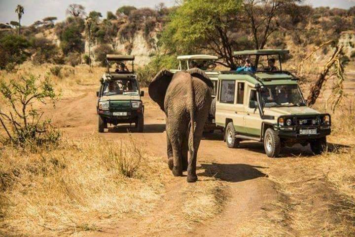 A Day Trip to Tarangire National Park