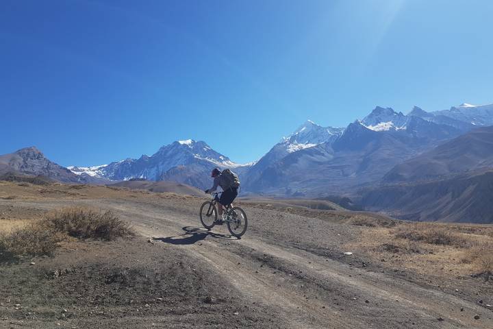 Alpine Bike Seven Springs Downhill Mountain Biking 10 Best Cycling