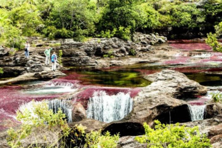 10 Best Colombia Amazon Tours & Vacation Packages 2026/2027