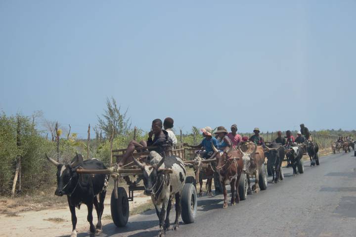 Itinerary Image 1