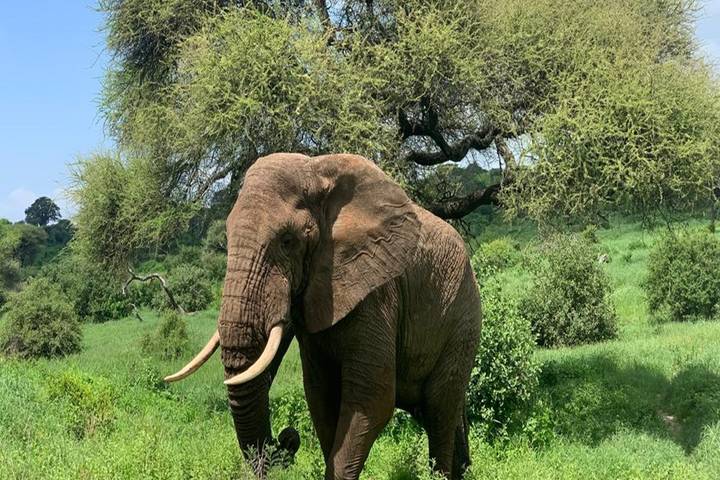 Itinerary Image 1