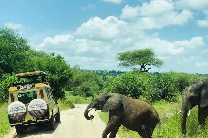 Itinerary Image 3